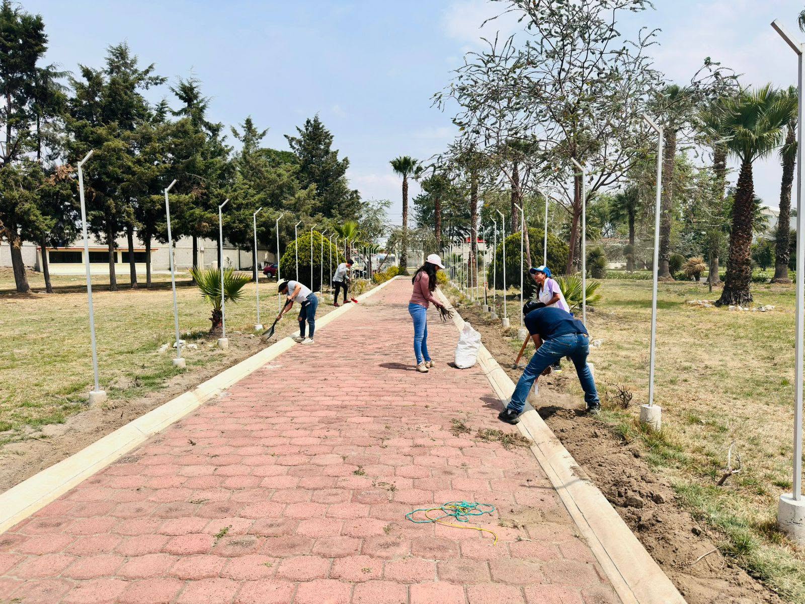 Imagen de galería