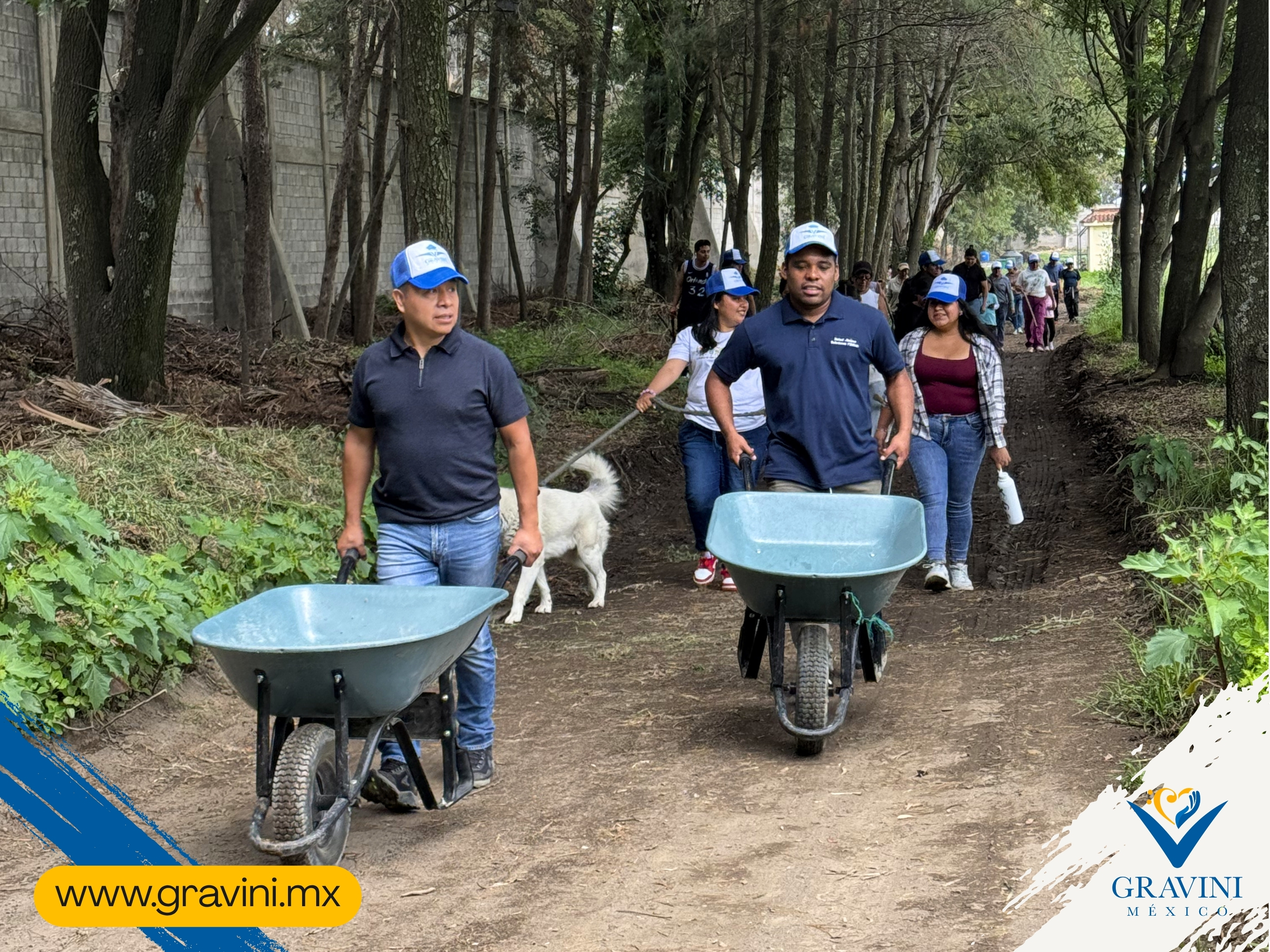 Imagen de galería